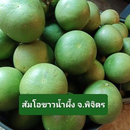 เซต 1ลูก (1.1-.1.3กก.)