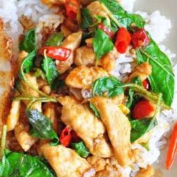 ผัดกระเพราไก่ราดข้าว@