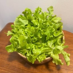 MANa SALAD -