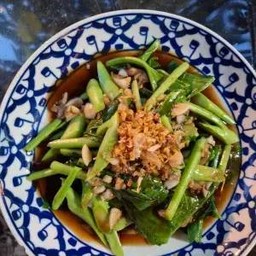 ผัดคะน้าน้ำมันหอยราดข้าว