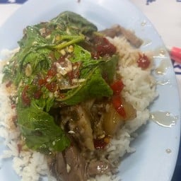 กะเพราขาหมู