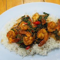 กะเพรากุ้งราดข้าว