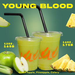 YOUNG BLOOD 16 oz.