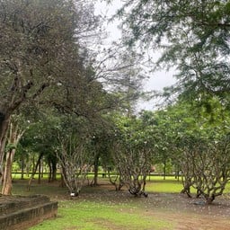 อุทยานประวัติศาสตร์เมืองสิงห์