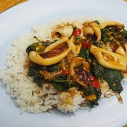 กะเพราหมึกราดข้าว