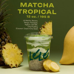 MATCHA TROPICAL