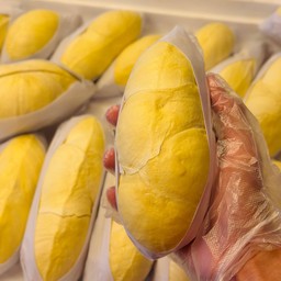 (1แถม1) ทุเรียนหมอนทองเนื้อทุเรียนล้วน 1 กิโลกรัม เกรดพรีเมี่ยม