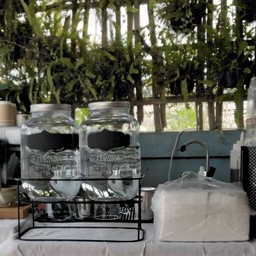 restaurantPhoto