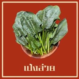 ปวยเล้ง