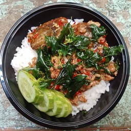 ข้าวกะเพราไข่เยี่ยวม้าหมูสับ