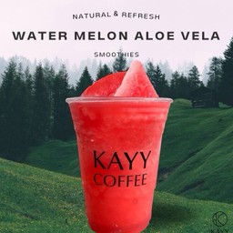 Watermelon Aloe Vera Smoothies ( D )