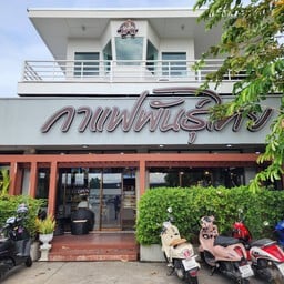 กาแฟพันธุ์ไทย ประมงใหม่