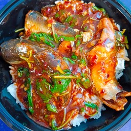 ผัดกระเพราปลากระป๋อง ราดข้าว