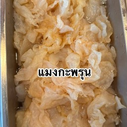 แมงกระพรุน 1 ขีด