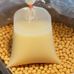 น้ำเต้าหู้ธรรมดา