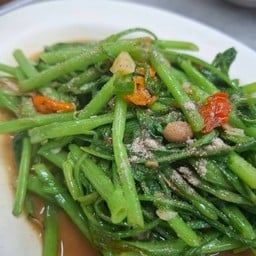 ผักบุ้งไฟแดง