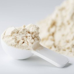 Whey Protein