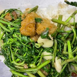 ผัดกระเฉดหมูกรอบราดข้าว