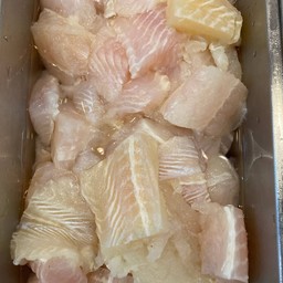 ปลาดอลลี่ 1 ขีด