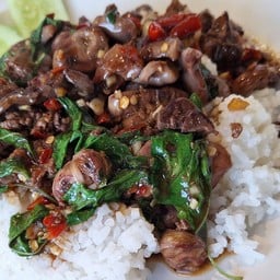 กะเพราเครื่องในไก่