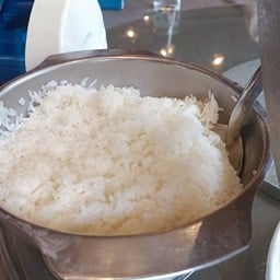 ข้าวเปล่า/Steamed Rice//白饭