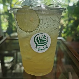 ชามะนาว Coffee leaf