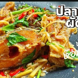 ปลานิลสับชิ้นผัดขิง