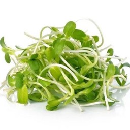 ต้นอ่อนทานตะวัน 35g.