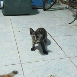 เจ้าเปรอะ