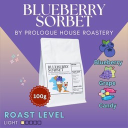 Blueberry Sorbet