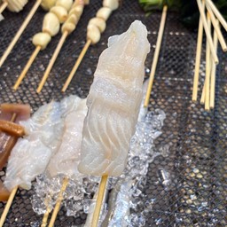 ปลาดอลลี่