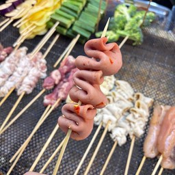 โบโลน่าสไลด์