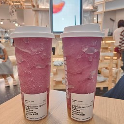 Jian Cha Tea 见茶山(เจี้ยนชา) Siam Discovery