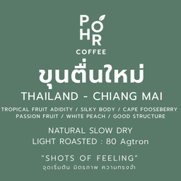 Iced Filter โฆ๊ะผะโด๊ะ ขุนตื่นใหม่ (Natural slow-drying)/Chiang mai-Thailand