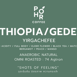 Iced Filter Gedeb(Anaerobic Natural)/Ethiopia