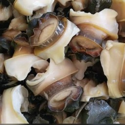 หอยเชอรรี่