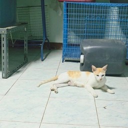 แม่ของเด็กๆ