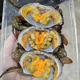 ปูไข่ดอง 2 ตัว