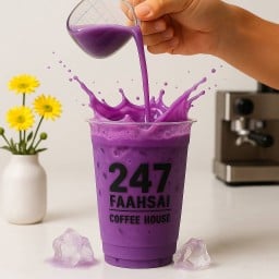 เผือกนมสด