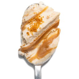 Biscoff Froyo (Pint 16oz)