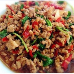 กระเพราหมูสับ เป็นกับข้าว