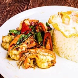 ข้าวราดผัดกะเพรากุ้ง