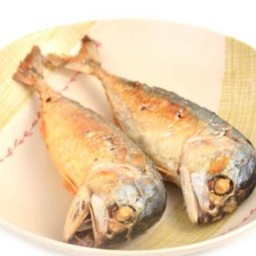 ปลาทู1ตัว