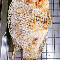 ปลานิลเผาจัมโบ้