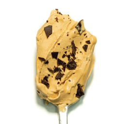 Where It All Began (Pint 16oz)