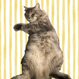 จกพุง1ที