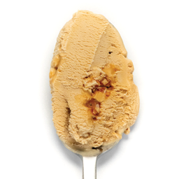 Flat White Praline (Pint 16oz)