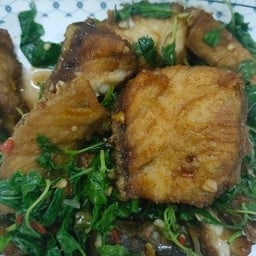 กระเพราปลากระพง