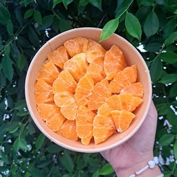 ไอซ์ฟรุต & สวีท (Fruits & Sweets)