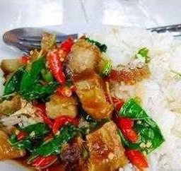 กะเพราหมูกรอบราดข้าว